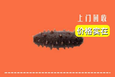 黄山屯溪区回收海参