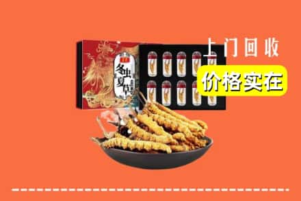 黄山屯溪区回收虫草